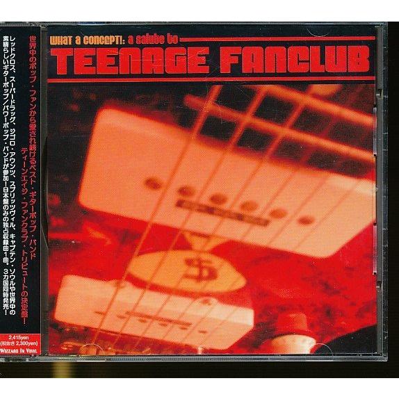 JA982●「a salute to Teenage Fanclub  What a Concept...