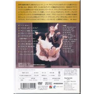 KB046●TDBT-0073 ニーナ・アナニ...の詳細画像1