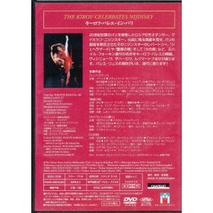 KA871●DD04-0708 ヴィシニョーワ...の詳細画像1