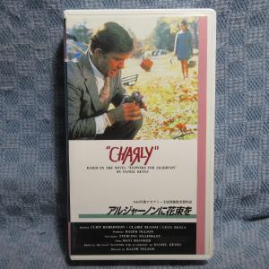 MA040●AMCC-1007「アルジャーノンに花束を(CHARLY)」VHSビデオ レンタル落ち