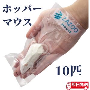 ZAZOO 国産 冷凍マウス　ホッパー マウス 10〜15g 約6.5cm 真空 個別包装 爬虫類 猛禽類 の 餌