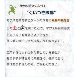 ZAZOO 国産 冷凍マウス ホッパー マウス...の詳細画像5