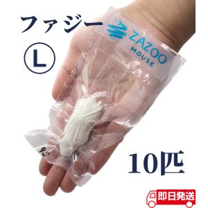 ZAZOO 国産 冷凍マウス　ファジーマウス L 8〜10g 約5.5cm 真空 個別包装 爬虫類 猛禽類 の 餌