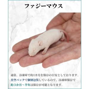 ZAZOO 国産 冷凍マウス ファジーマウス ...の詳細画像1