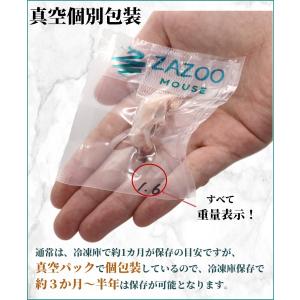 ZAZOO 国産 冷凍マウス ピンクマウスSS...の詳細画像1