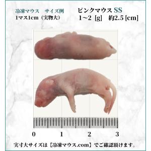 ZAZOO 国産 冷凍マウス ピンクマウスSS...の詳細画像2
