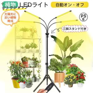 植物育成ライト LED スタンド 三脚 タイマーusb 観葉植物育成ライト 多肉植物育成 トフルスペクトル 10階段調光 80LEDランプ 室内栽培 水耕栽培ランプ 光補足｜サトウショップ