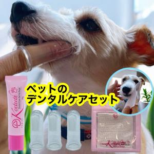 犬 猫 はみがき ジェル なめるだけ 歯周病を抑制 30g×2 まとめ買いお得