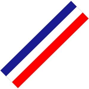 ティーグルブラン ステアリング シート エンブレム 国旗 ステッカー センター マーカー オーナメント フィルム 薄型( フランス)