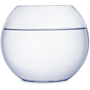 ガラス製 鉢 テラリウム 観葉植物 インテリア アクアリウム