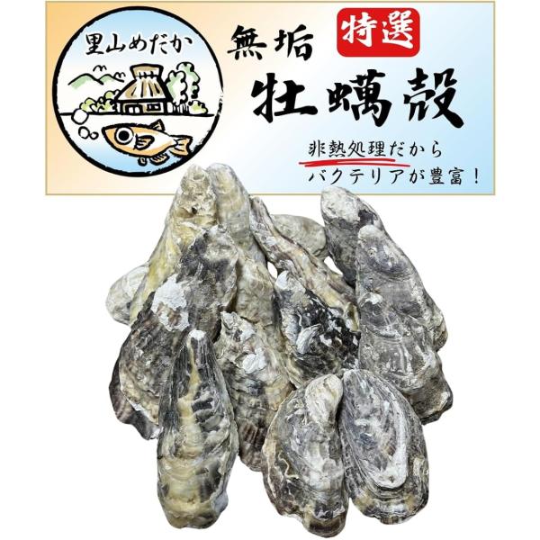 国産特選 牡蠣殻 非加熱 アクアリウム メダカ 金魚 熱帯魚 海水魚 水質安定 水質浄化 PH調整 ...