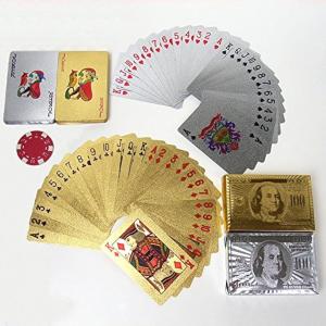 ポーカーチップ カジノチップ 5種 100枚 セット 数字あり ケース付き