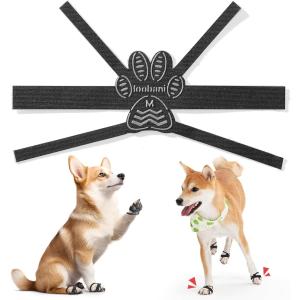 改良バージョン犬 滑り止め 老犬 シール 足の甲に回す帯のデザイン 耐久性 粘着 肉球 保護 MDM (ブラック, m)