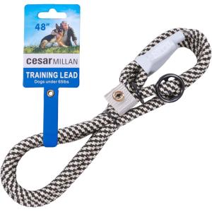 Fida 犬用 リード ドッグ スリップリード 中型犬 大型犬用 しつけ