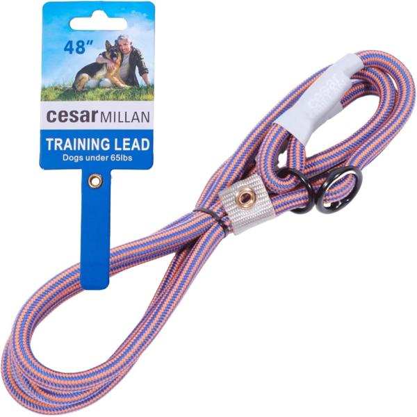 スリップリード シーザーミラン Cesar シーザーミラン氏 監修(オレンジブルー,  レギュラー「...