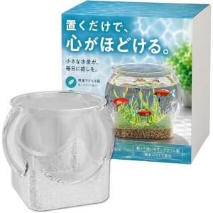 金魚鉢 プラスチック 水槽 メダカ 容器 飼育 アクリル アクアリウム