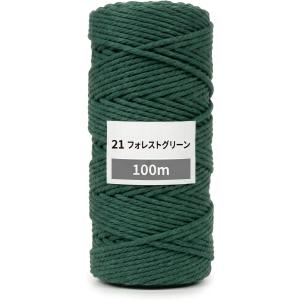 マクラメ糸 3mm ロープ ヤーン 100m x...の商品画像