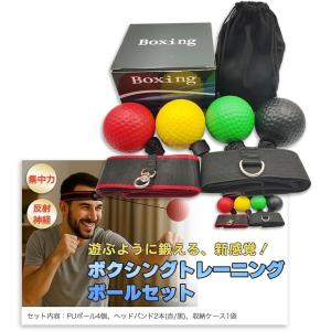 パワーアンクル パワーリスト 2.5kg 2個セット 5kg アンクルウエイト
