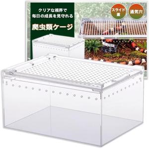 爬虫類 ケージ レプタイルボックス 飼育 レオパ カナヘビ トカゲ イモリ ヤモリ (クリア, 幅40cm/奥行25cm/高さ20cm)