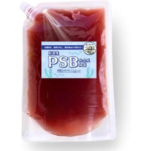 PSB 光合成細菌 高濃度培養 バクテリア 水質改善(レッド, 500ml)