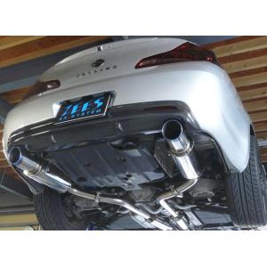 柿本_改]DBA-V36 スカイライン セダン_250GT(VQ25HR / 2.5 NA_H22/04