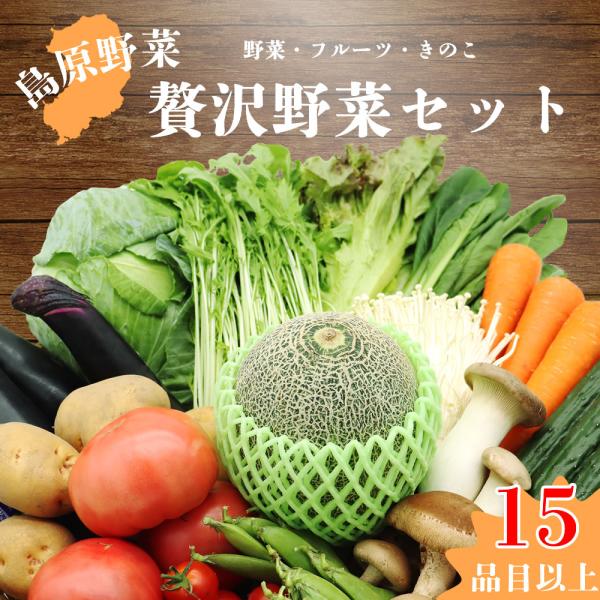 苦手な野菜が選べる！ 野菜のプロが厳選した 贅沢野菜セット 旬の野菜・フルーツ・キノコ 15品目以上...