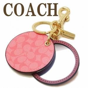 COACH（コーチ） キーホルダー レジン アップル リンゴ モチーフ