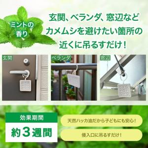 『5のつく日■限定クーポン発行』＼1,000円...の詳細画像1
