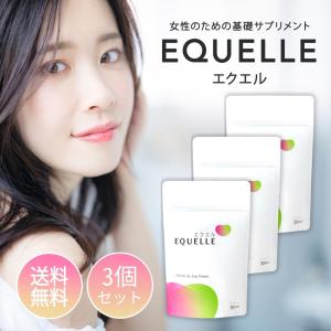 エクエル 120粒入 3個セット パウチ エクオール 大塚製薬 エクエル 120粒入 3個セット パウチ エクオール 大塚製薬