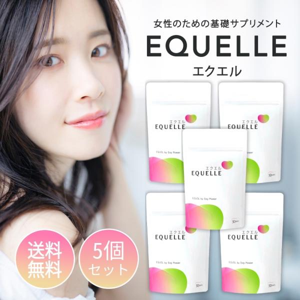 『ブラックフライデー限定クーポン』エクエル パウチ エクオール 大塚製薬 120粒入り 5袋