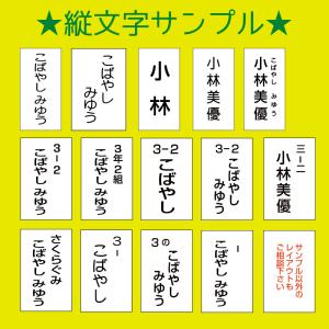 お名前入りゼッケン(大 2cm〜30cm)洗濯...の詳細画像5