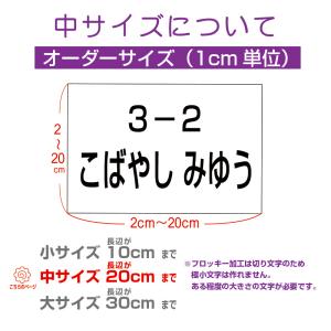 お名前入りゼッケン(中 2cm〜20cm) 洗...の詳細画像1