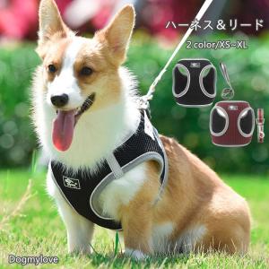 BURBERRY（バーバリー） ドッグリード 8073365 レザー バーバリー