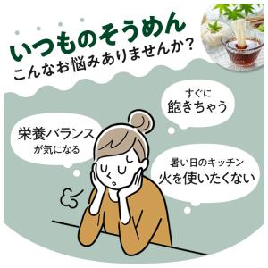 ZENB ゼンブヌードル 細麺 48食(12袋...の詳細画像5