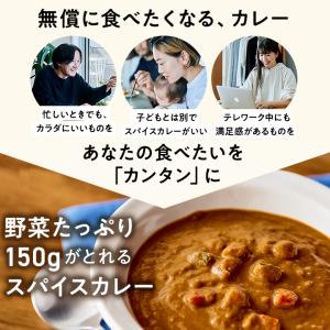 ZENB ゼンブ スパイスカレー 4食 送料無...の詳細画像5