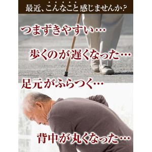【歩行補助 転倒予防】そふと安心2本杖【つえ ...の詳細画像1
