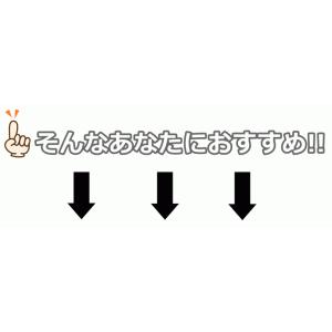 【歩行補助 転倒予防】そふと安心2本杖【つえ ...の詳細画像3