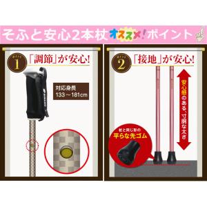【歩行補助 転倒予防】そふと安心2本杖【つえ ...の詳細画像5