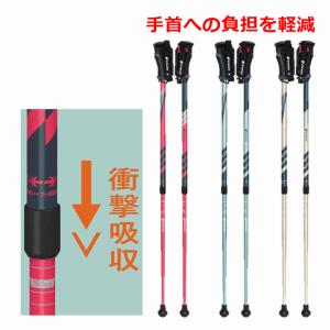 ノルディックウォーキングポール　2本セット 楽天市場】2本組セット ハタチ メンズ レディース AGP ツアー
