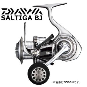 ダイワ ソルティガ BJ (ベイジギング) 4000SH /スピニングモデル｜zeniya-tsurigu