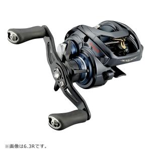 ダイワ 21スティーズ A TW HLC 7.1R ベイトリール