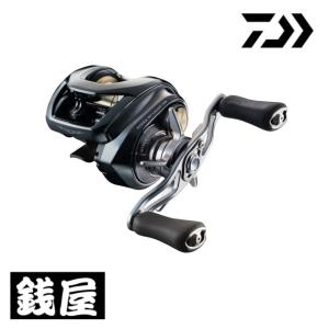 DAIWA（ダイワ） ベイトリール 26 スティーズ SV ライト TW 100XXHL 左