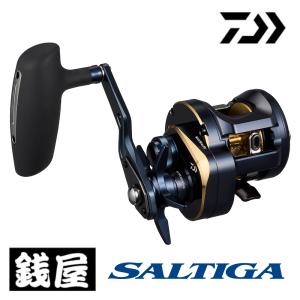 DAIWA(釣り) 【取り寄せ商品】 ダイワ ソルティガ BJ (200HL DAIWA(釣り) 【取り寄せ商品】 ダイワ ソルティガ BJ (200HL