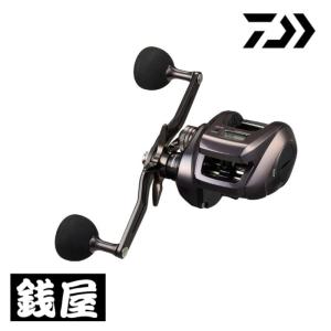 DAIWA（釣り） ダイワ ソルティガIC 100HL-DH : つり具の銭屋