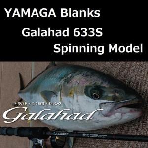 ヤマガブランクス ギャラハド 633S Spinning Model