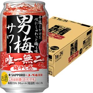 サッポロ SORACHI1984 350ml×12本 1ケース ビール ソラチ u-sa : 酒の