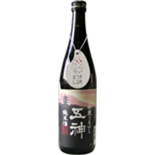 五條酒造 五神 奈良うるはし 純米酒 720ml×12本 奈良 u-yu