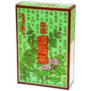 自然健康社 減脂茶 箱 2g×60パック カップ出し用ティーバッグ