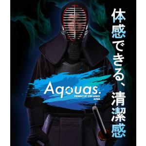 【刺繍無料】 剣道 防具 セット アクアス 面 胴 籠手 甲手 小手 垂 一式 剣道具 武具 武道 人気 おすすめ 長崎三恵製防具一式