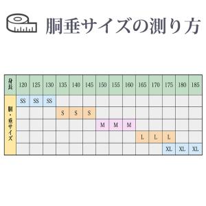 【刺繍無料】 剣道 防具 セット アクアス 面...の詳細画像4